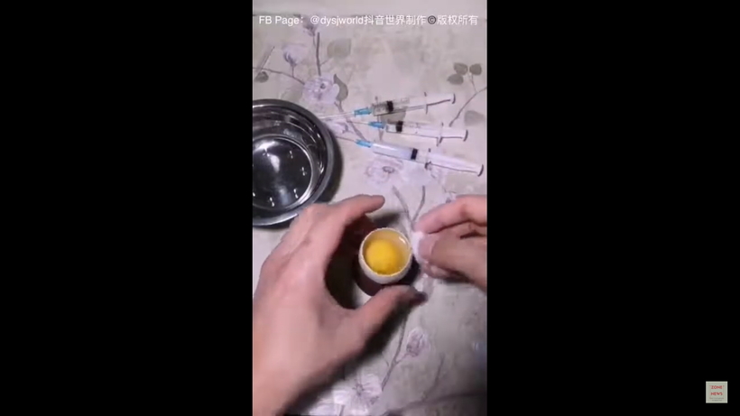 Блог - Наглядное видео о том, как происходит развитие цыпленка в открытом яйце Наглядное видео о том, как происходит развитие цыпленка в открытом яйце