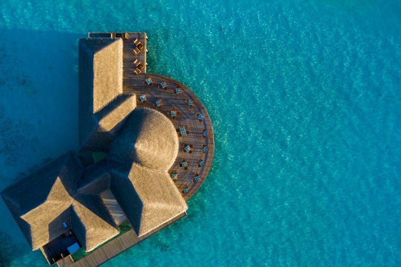Блог - Гастрономическое путешествие в Sun Siyam Resorts Гастрономическое путешествие в Sun Siyam Resorts
