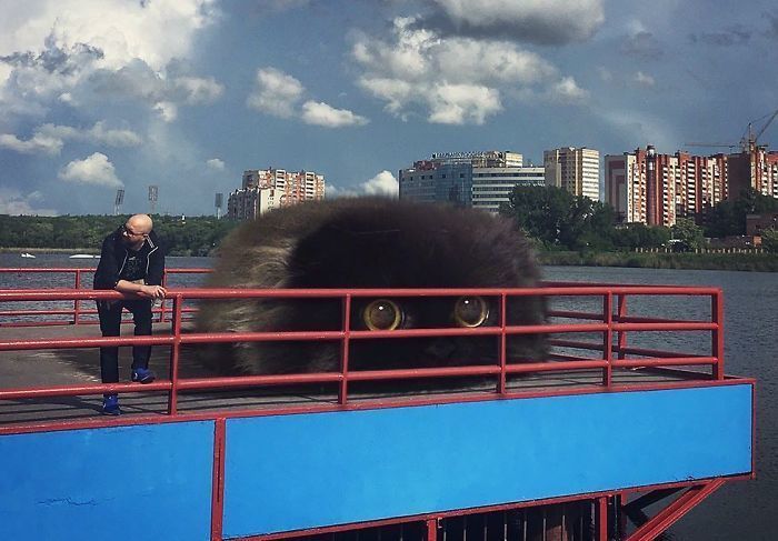 Блог - Парень показывает, каким был бы наш мир, если бы в нем жили гигантские коты Парень показывает, каким был бы наш мир, если бы в нем жили гигантские коты