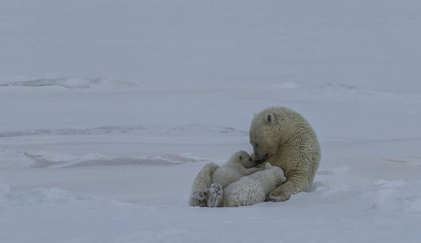 Блог - Фотографы со всего мира делятся снимками, которые для них означают любовь Фотографы со всего мира делятся снимками, которые для них означают любовь