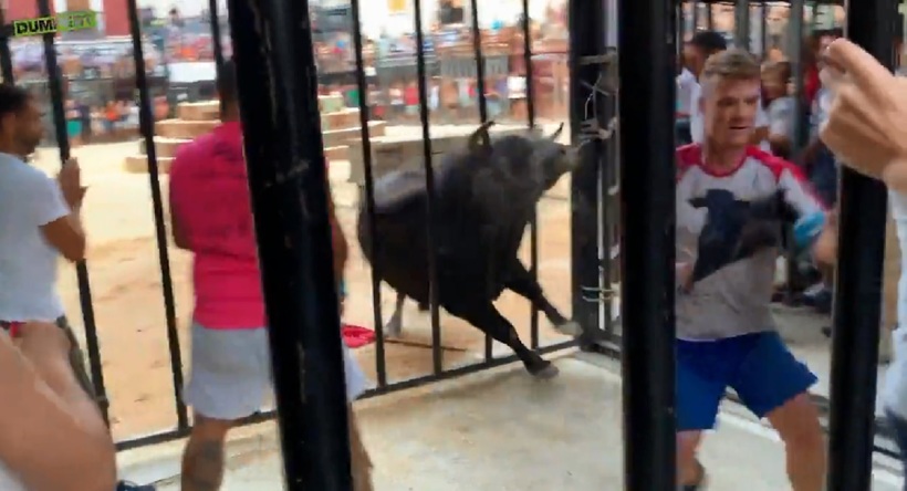 Видео: Экстремал в последний миг успел увернуться от быка, проскочив сквозь решетку