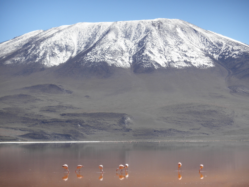 Исчезновение озера Поопо: почему высохло одно из крупнейших озер Южной Америки
