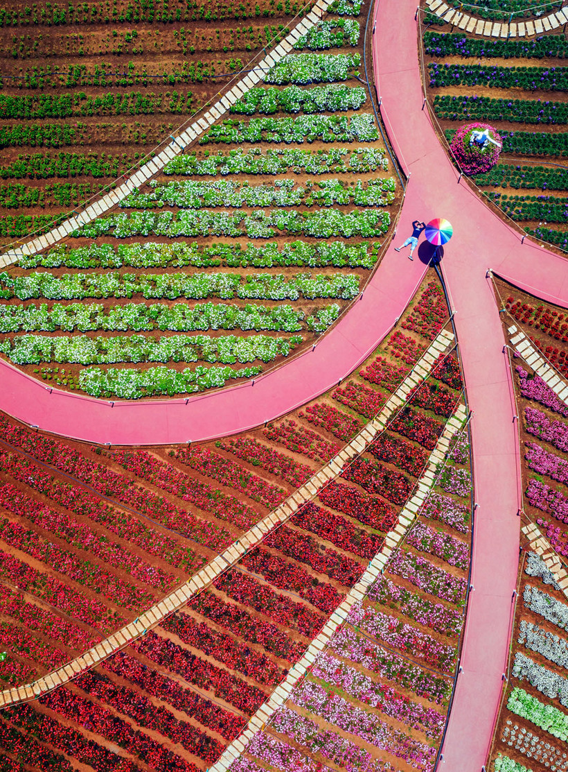Блог - Первые впечатляющие работы с конкурса Sony World Photography Awards 2020 Первые впечатляющие работы с конкурса Sony World Photography Awards 2020