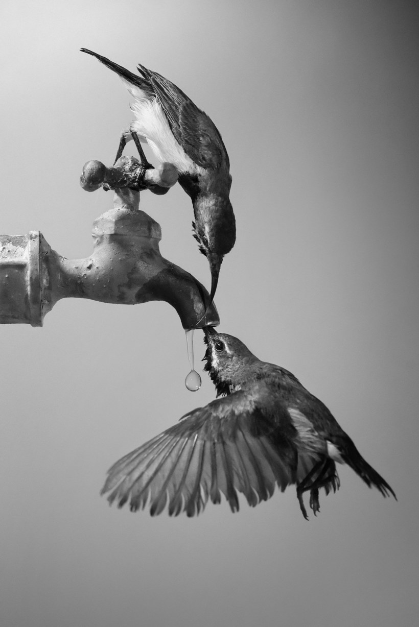 Блог - Первые впечатляющие работы с конкурса Sony World Photography Awards 2020 Первые впечатляющие работы с конкурса Sony World Photography Awards 2020