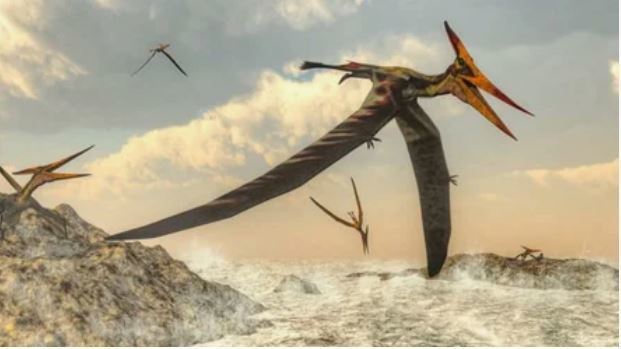 В Австралии найдены останки птерозавра