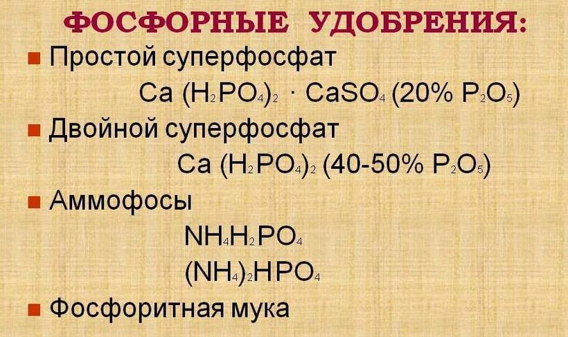 Виды фосфорных удобрений Виды фосфорных удобрений