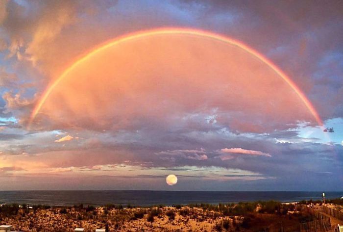 Блог - 25 поразительных фото, на которых нет фотошопа 25 поразительных фото, на которых нет фотошопа