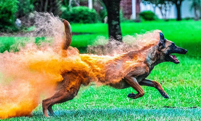 Блог - 25 поразительных фото, на которых нет фотошопа 25 поразительных фото, на которых нет фотошопа