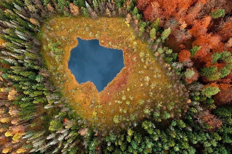 Блог - Красочные фотографии о том, насколько волшебна осень в Польше Красочные фотографии о том, насколько волшебна осень в Польше