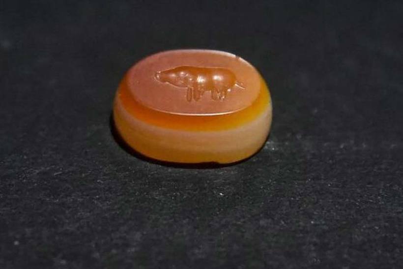 Бусина из сердолика Бусина из сердолика