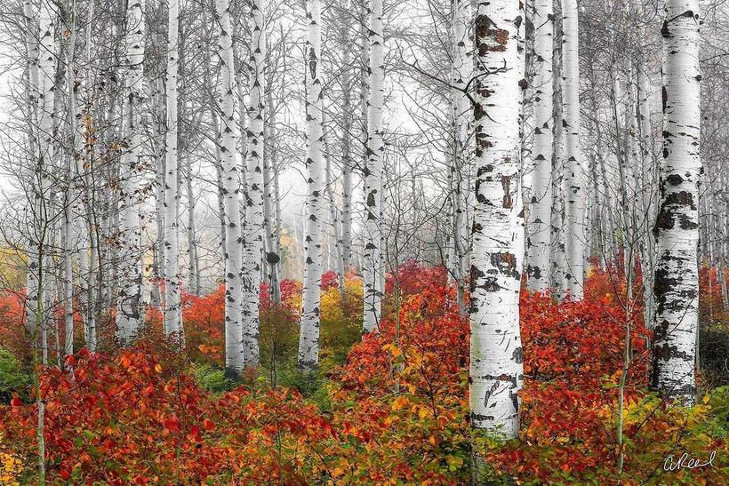 Блог - Визуальные письма любви Земле: фотограф запечатлел самые поразительные пейзажи планеты Визуальные письма любви Земле: фотограф запечатлел самые поразительные пейзажи планеты