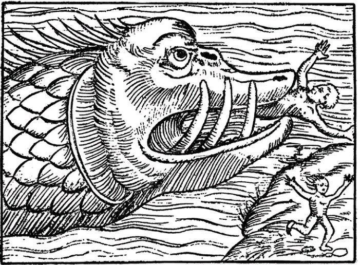 Морское чудовище. Гравюра. 16 век