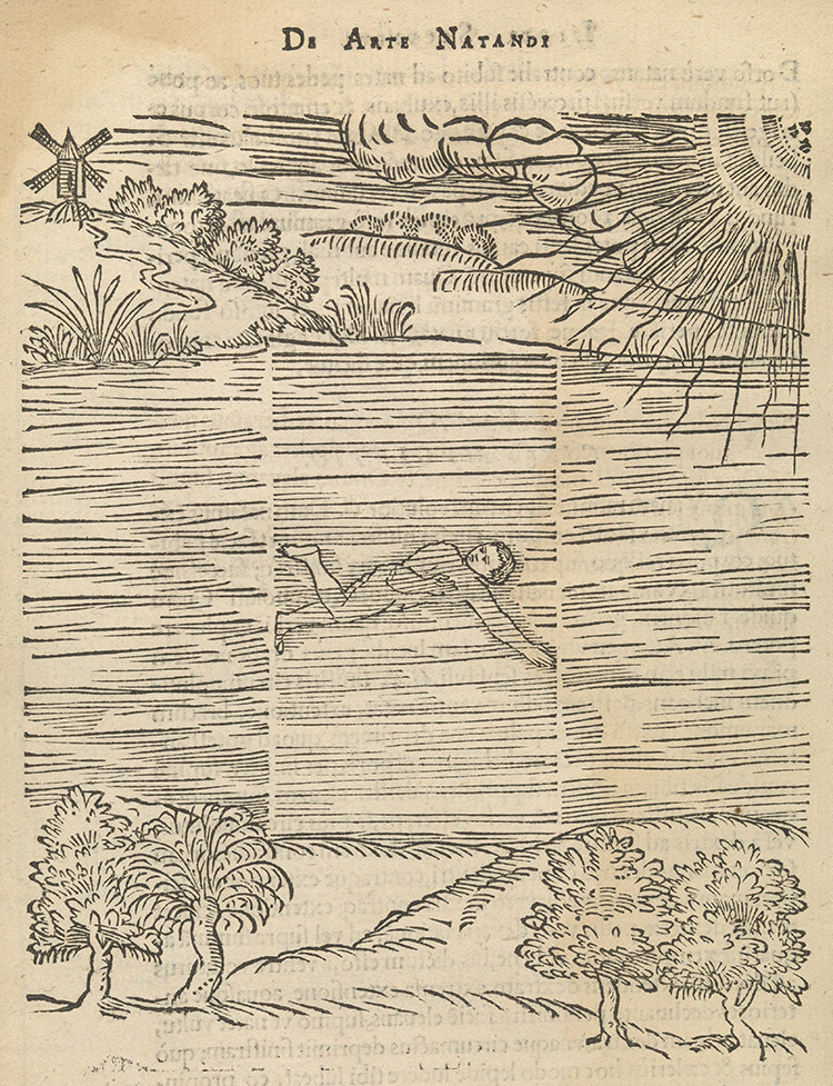 Иллюстрация из De Arte Natandi, Everard Digby, 1587 Иллюстрация из De Arte Natandi, Everard Digby, 1587