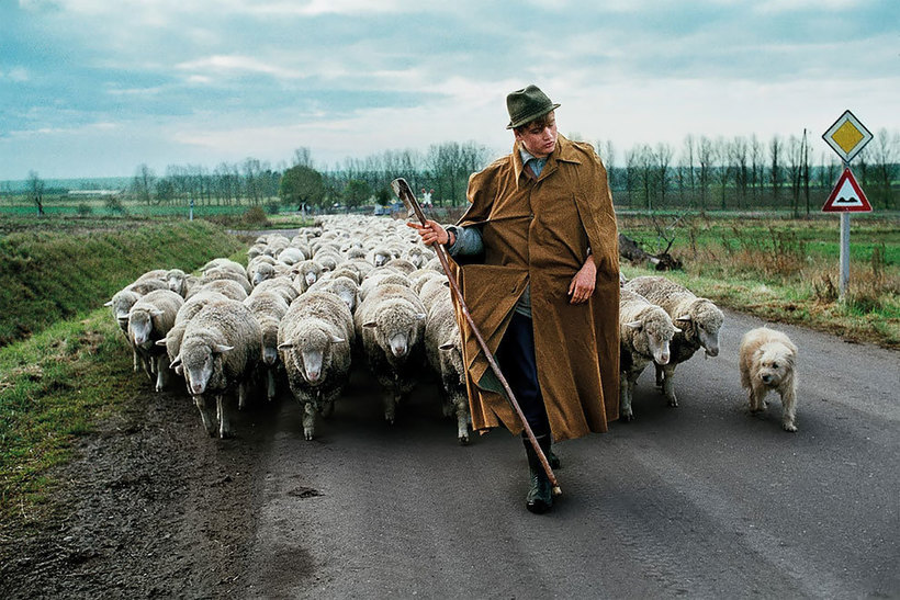 Блог - Фотограф демонстрирует поразительную связь между людьми и животными по всему миру Фотограф демонстрирует поразительную связь между людьми и животными по всему миру