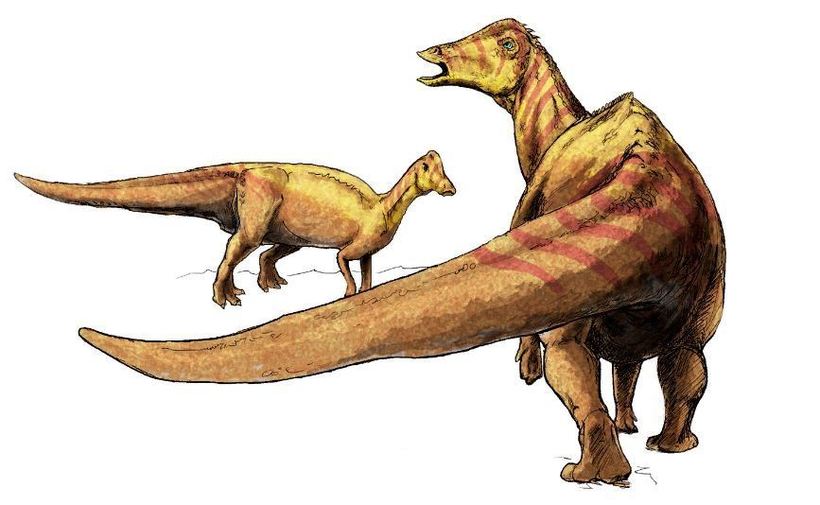 Россия — родина динозавров: какие виды обитали в нашей стране