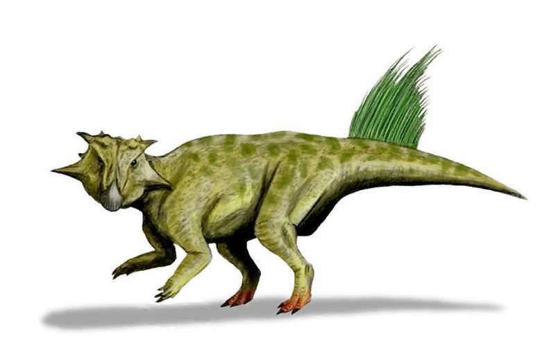 Россия — родина динозавров: какие виды обитали в нашей стране