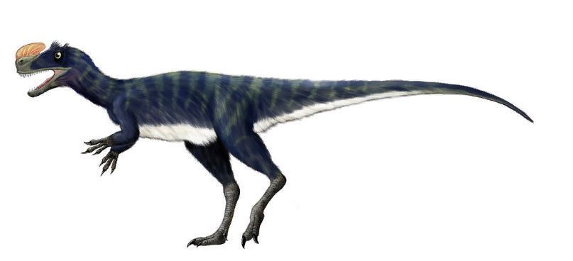 Россия — родина динозавров: какие виды обитали в нашей стране