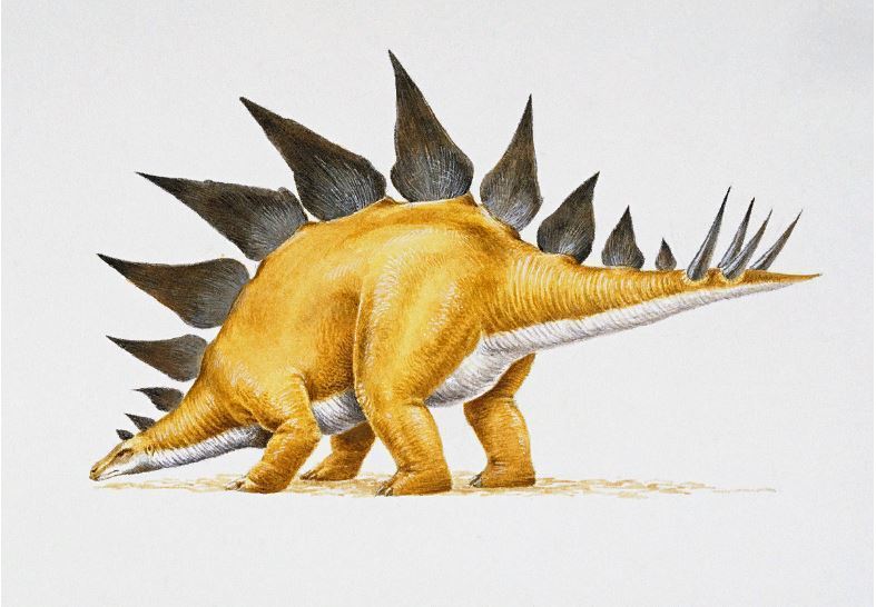 Россия — родина динозавров: какие виды обитали в нашей стране