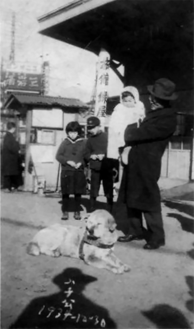 Блог - История и редкие фотографии Хатико, самой знаменитой собаки в мире История и редкие фотографии Хатико, самой знаменитой собаки в мире