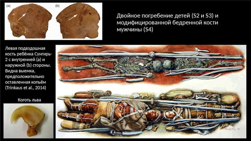 Блог - Сунгирь: ученые показали, как выглядели люди, жившие под Владимиром 30 000 лет назад Сунгирь: ученые показали, как выглядели люди, жившие под Владимиром 30 000 лет назад