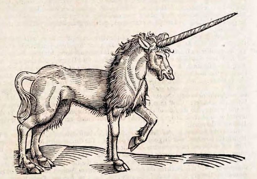 Какими самыми странными лекарствами лечились русские цари