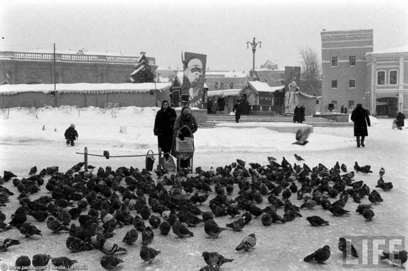 Блог - 19 фотографий прошлого столетия о том, каким был Новый год в СССР 19 фотографий прошлого столетия о том, каким был Новый год в СССР