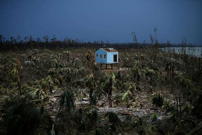 Блог - 10 фото, сделанных агентством Reuters в ушедшем году и определивших его 10 фото, сделанных агентством Reuters в ушедшем году и определивших его