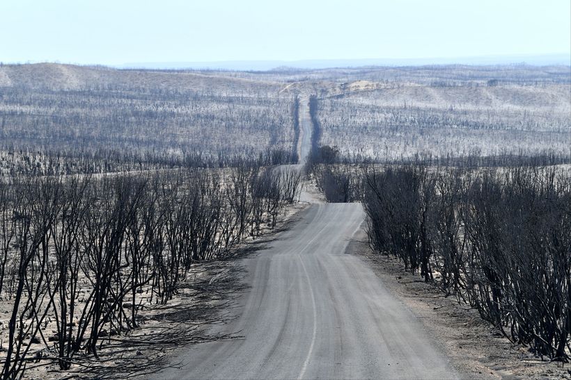 Блог - 16 реальных фотографий, которые показывают весь ужас пожаров в Австралии 16 реальных фотографий, которые показывают весь ужас пожаров в Австралии