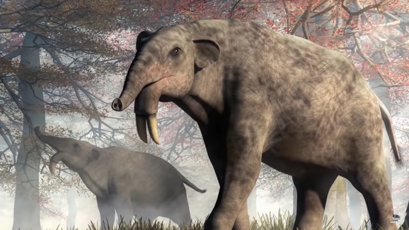 Видео: 10 мифических животных, которые существовали на самом деле