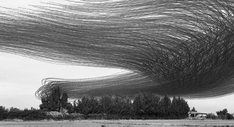 Блог - Фотограф из Барселоны показывает, как удивительно выглядит полет одной птицы Фотограф из Барселоны показывает, как удивительно выглядит полет одной птицы