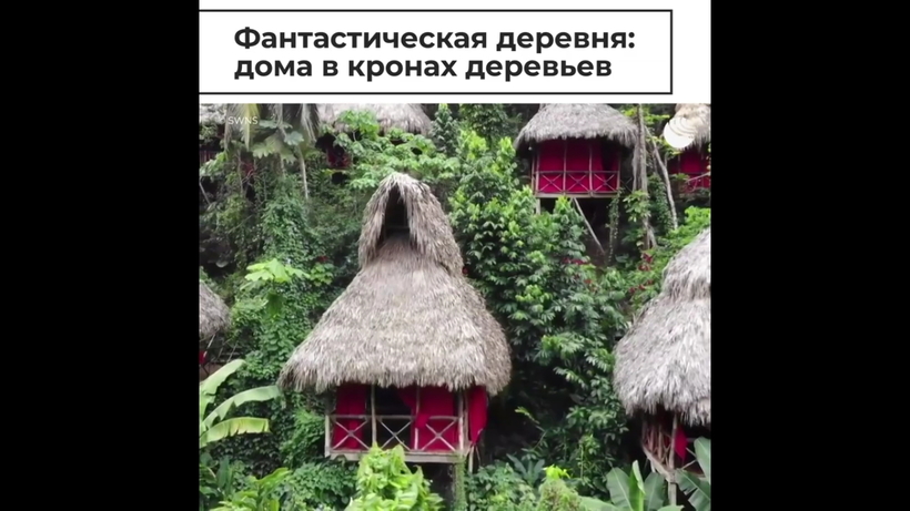 Блог - Видео: Ближе к небу — жители Доминиканы строят дома прямо в кронах деревьях Видео: Ближе к небу — жители Доминиканы строят дома прямо в кронах деревьях
