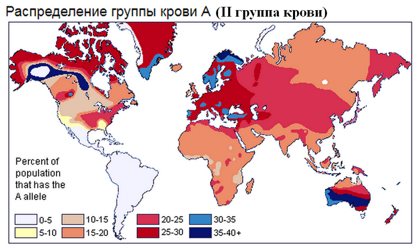 Блог - Ученые выяснили, обладателей какой группы крови чаще поражал коронавирус в Ухане Ученые выяснили, обладателей какой группы крови чаще поражал коронавирус в Ухане