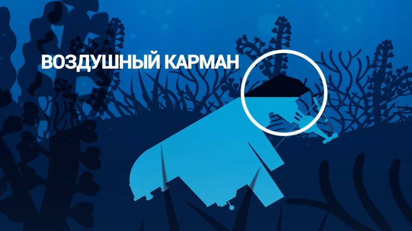 Блог - Видео: Как моряк, потерпевший кораблекрушение, находился на дне океана 3 дня и выжил Видео: Как моряк, потерпевший кораблекрушение, находился на дне океана 3 дня и выжил