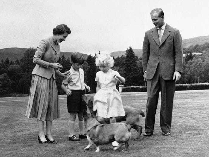Блог - Королевские корги: 17 фото о том, как британская королева любит своих собак Королевские корги: 17 фото о том, как британская королева любит своих собак
