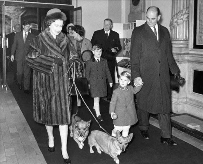 Блог - Королевские корги: 17 фото о том, как британская королева любит своих собак Королевские корги: 17 фото о том, как британская королева любит своих собак