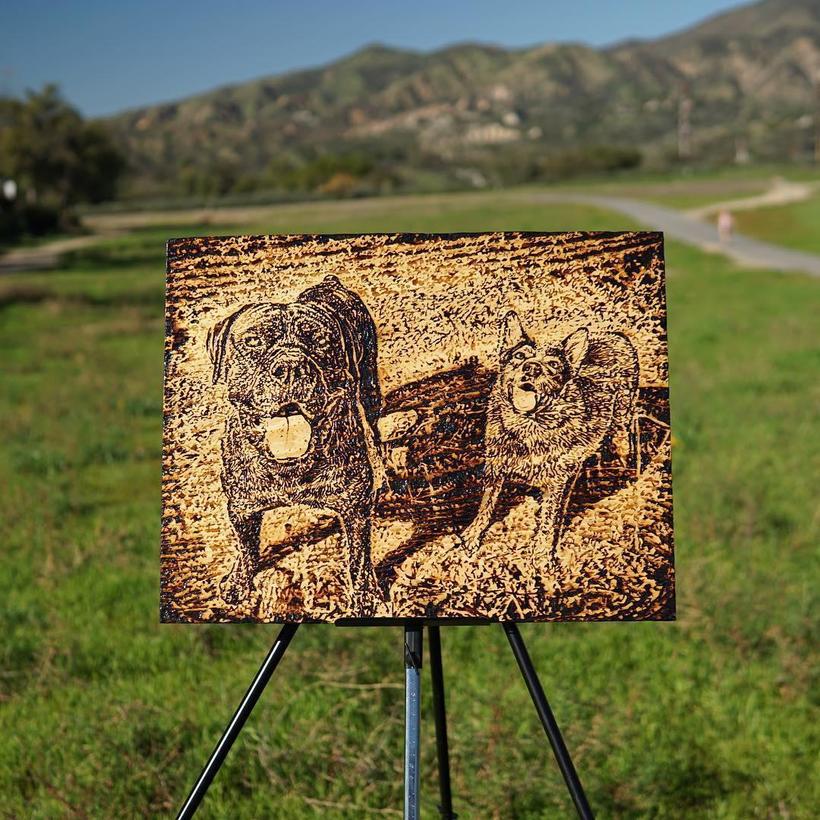 Художник отказался от традиционных кистей и рисует солнцем