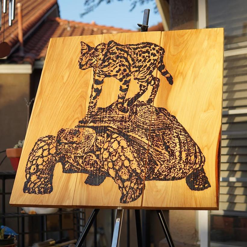 Художник отказался от традиционных кистей и рисует солнцем