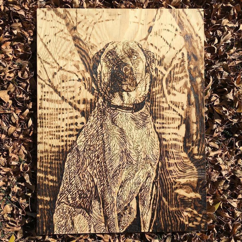 Художник отказался от традиционных кистей и рисует солнцем