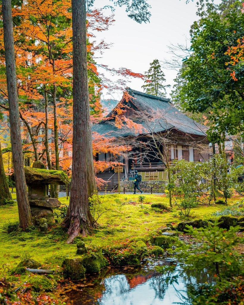 Блог - Как фотографы редактируют свои снимки Японии для конкурса от Adobe Как фотографы редактируют свои снимки Японии для конкурса от Adobe