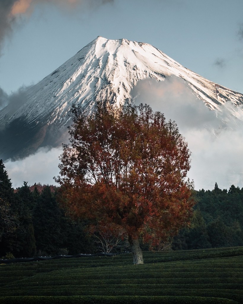 Блог - Как фотографы редактируют свои снимки Японии для конкурса от Adobe Как фотографы редактируют свои снимки Японии для конкурса от Adobe