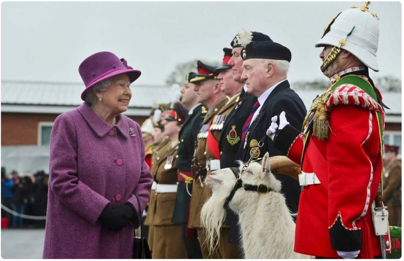 Козел на службе у английской королевы — за что ему платят жалованье