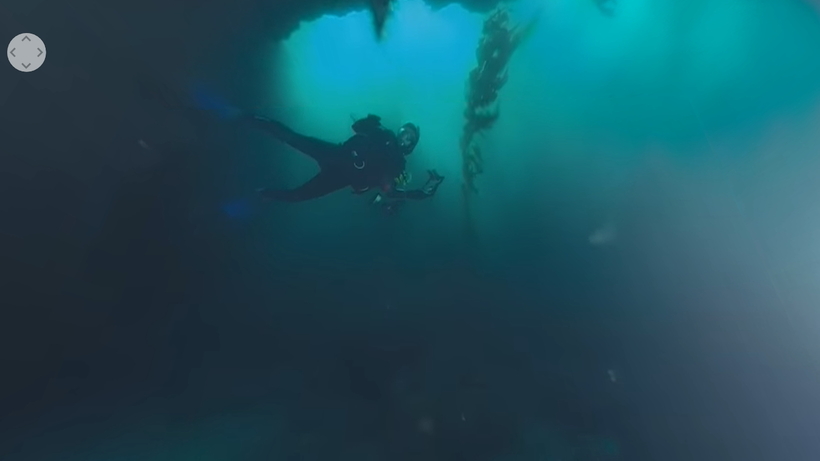 Блог - Видео: Виртуальный дайвинг с морскими львами от NOAA Видео: Виртуальный дайвинг с морскими львами от NOAA