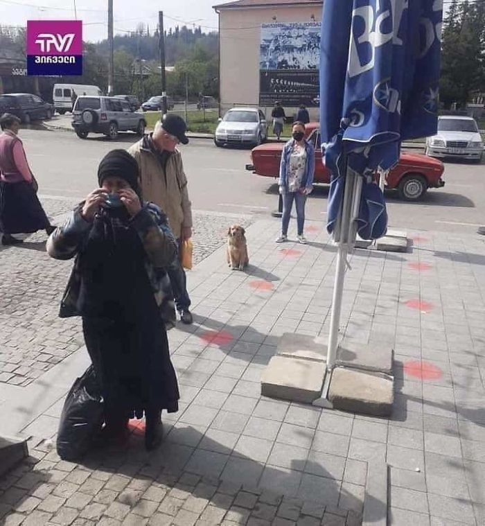 Блог - 19 забавных фото животных, которые знают о социальной дистанции больше некоторых людей 19 забавных фото животных, которые знают о социальной дистанции больше некоторых людей