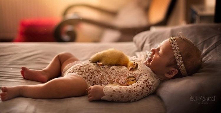 Блог - Потрясающие фото новорожденных детей с новорожденными детенышами животных Потрясающие фото новорожденных детей с новорожденными детенышами животных