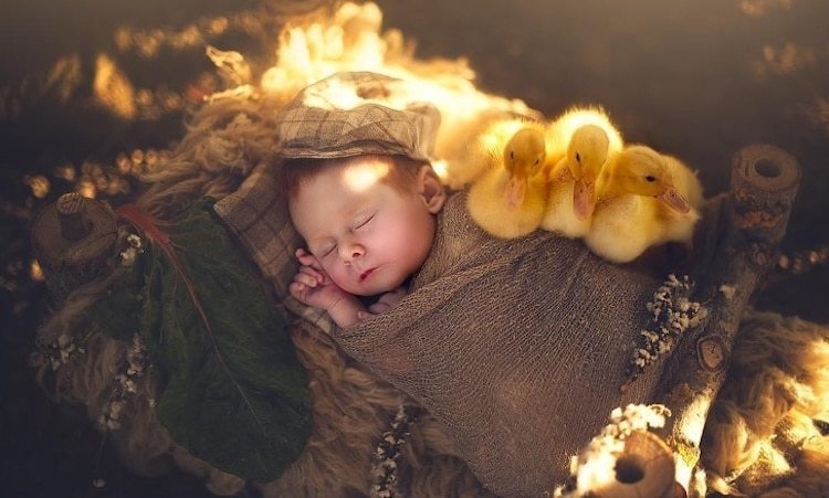 Блог - Потрясающие фото новорожденных детей с новорожденными детенышами животных Потрясающие фото новорожденных детей с новорожденными детенышами животных