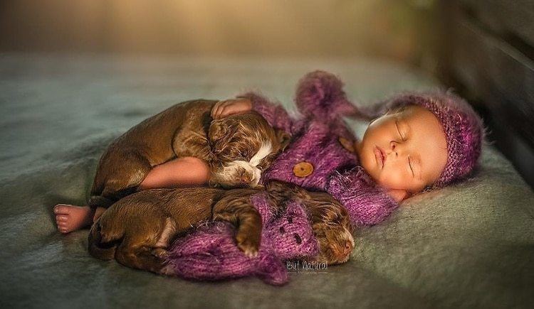 Блог - Потрясающие фото новорожденных детей с новорожденными детенышами животных Потрясающие фото новорожденных детей с новорожденными детенышами животных