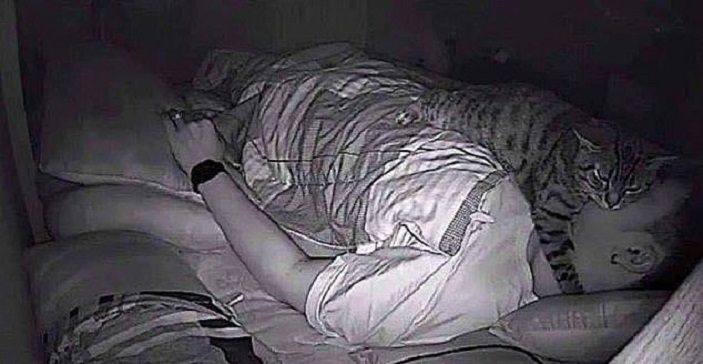 Блог - Парень думал, что тяжело болен, но оказалось, что во всем виноват его кот Парень думал, что тяжело болен, но оказалось, что во всем виноват его кот
