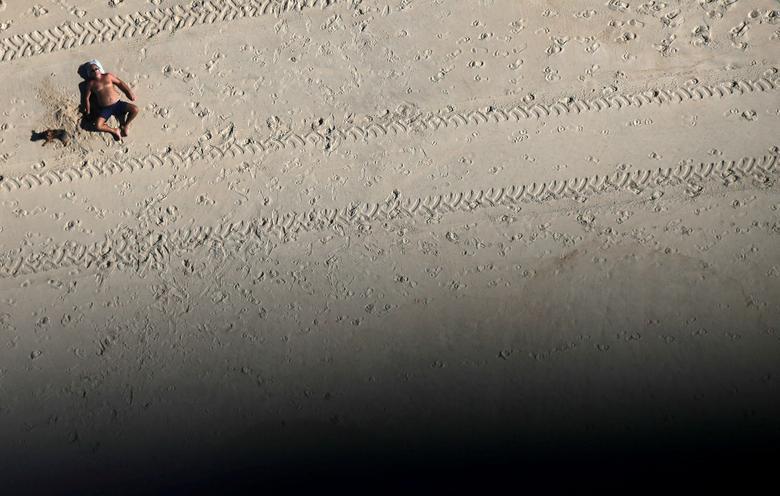 Блог - Они с нами рядом всегда: фотографы показывают домашних животных во время пандемии Они с нами рядом всегда: фотографы показывают домашних животных во время пандемии