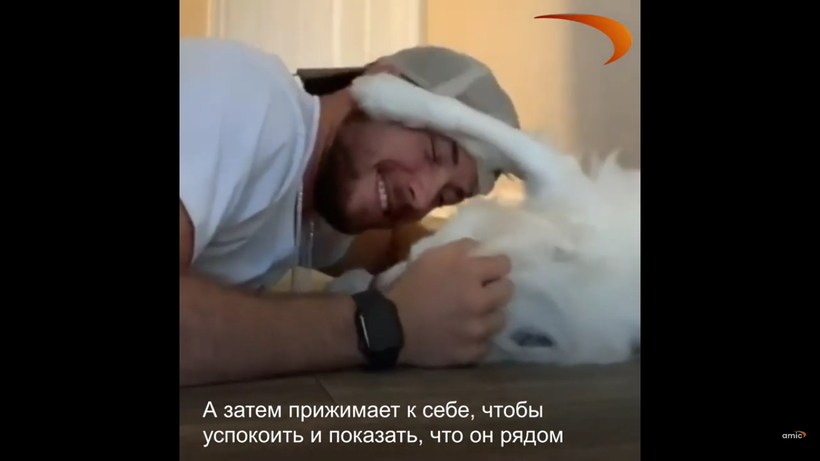 Блог - Парень придумал, как будить свою слепую и глухую собаку, а затем снял все на видео Парень придумал, как будить свою слепую и глухую собаку, а затем снял все на видео