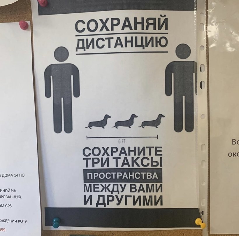 Блог - Во всем мире безопасную дистанцию между людьми вдруг стали измерять животными Во всем мире безопасную дистанцию между людьми вдруг стали измерять животными